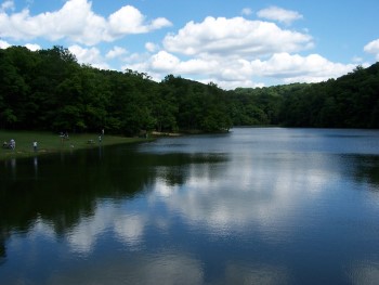 Brown County State park