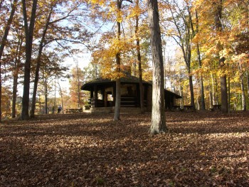 Yellowwood State Forest