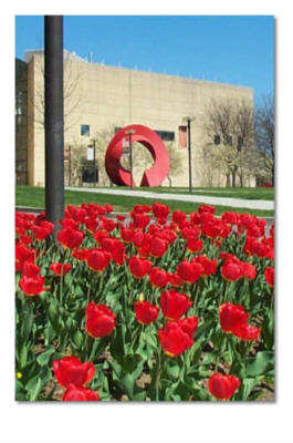 indiana university