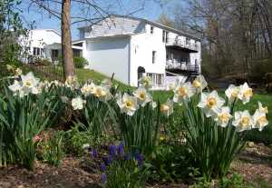 romantic brown county suites