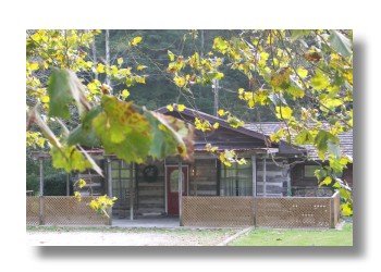 brown county log cabin