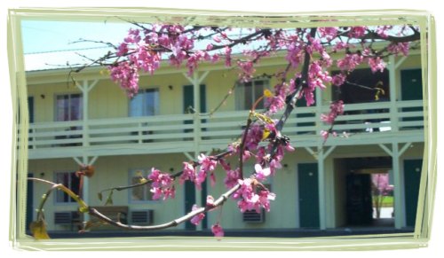 Brown County Indiana motel